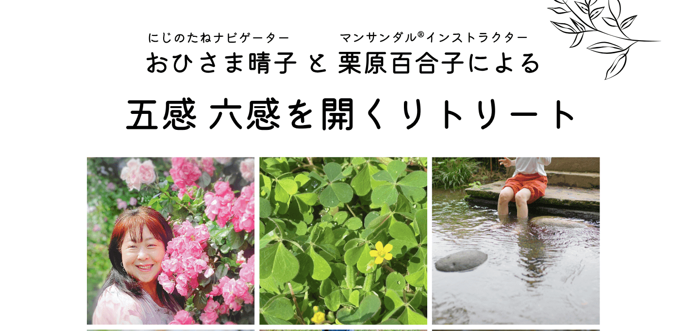 【11/8】五感六感を開くリトリート/HALUM(ひばりヶ丘)