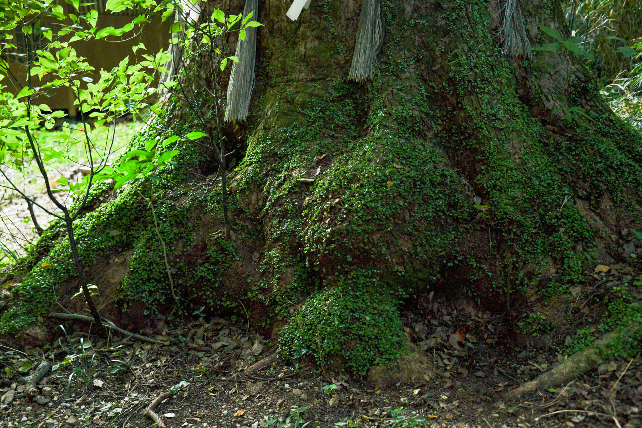 心の中心を立てる方法