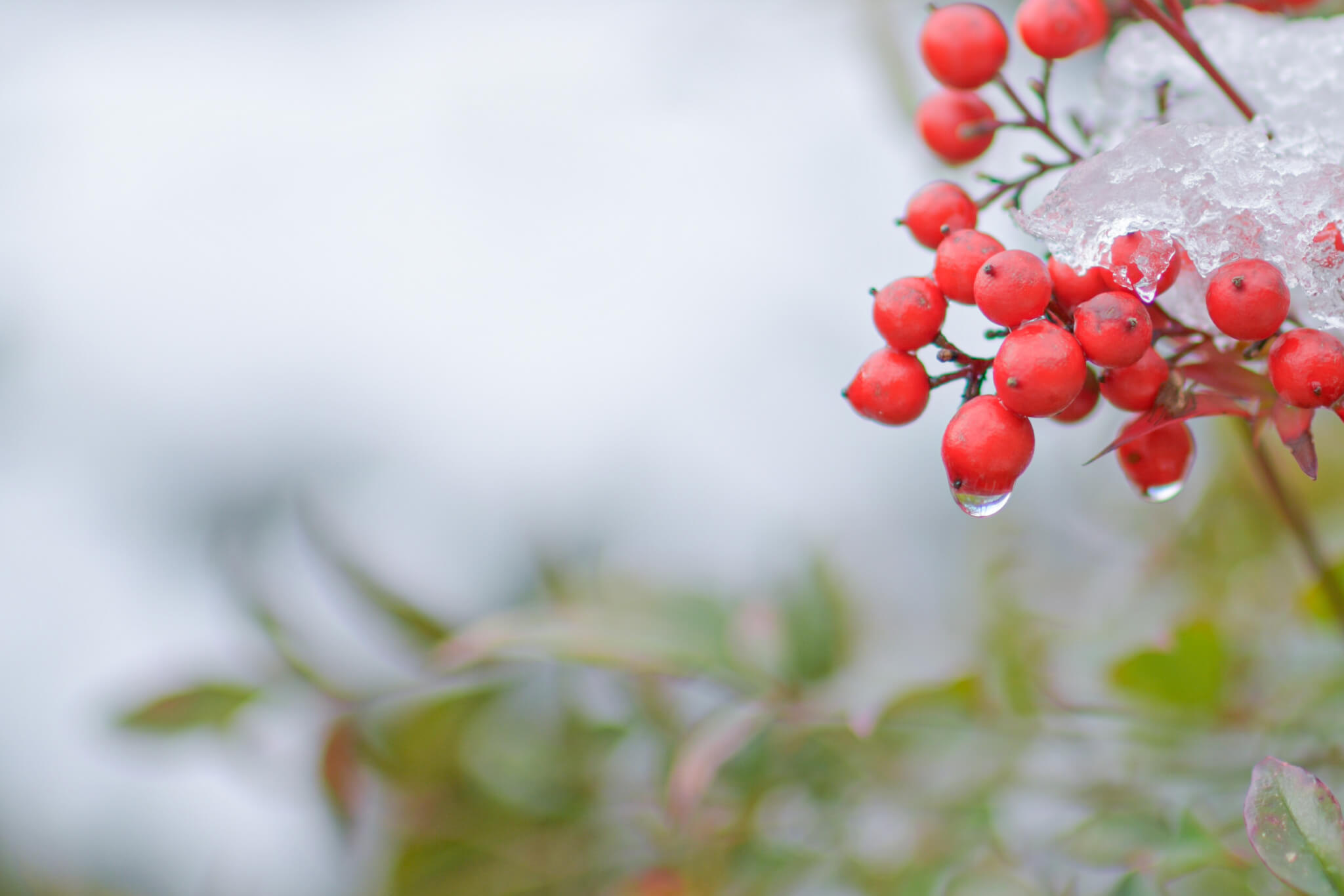 ボロクソに言われる