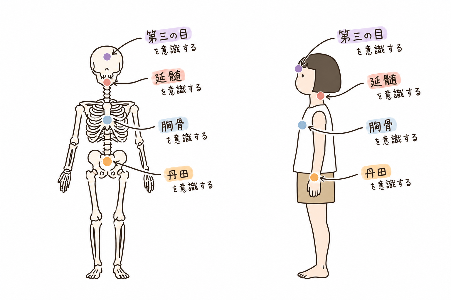 身体の使い方